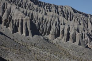 The Quebrada del Toro valley, Salta