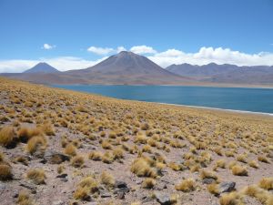 La Laguna Miscanti, en el Altiplano andino, Chile